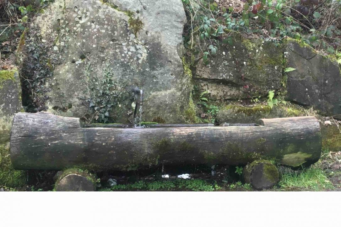 (76530) Baden-Baden - 1 Katzensteinstraße — foto