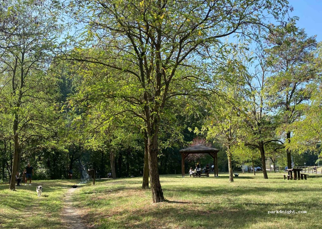 (43040) Rizzone - 5 Via Papa Giovanni XXIII — foto 3