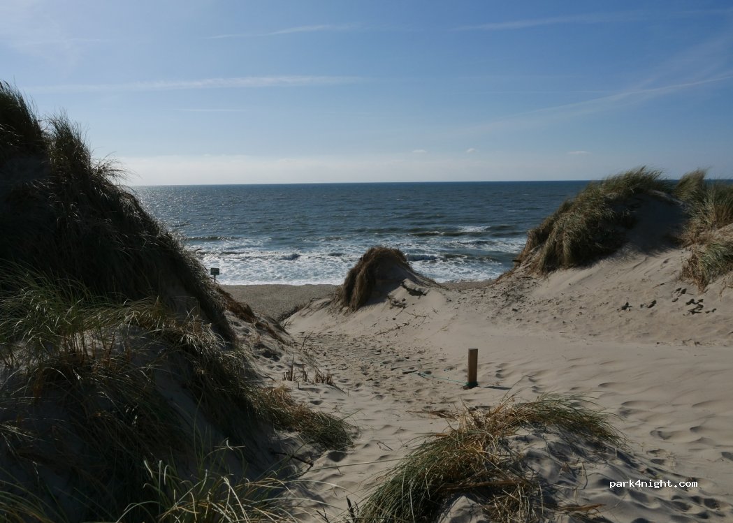 Hvide Sande Camping — foto 3