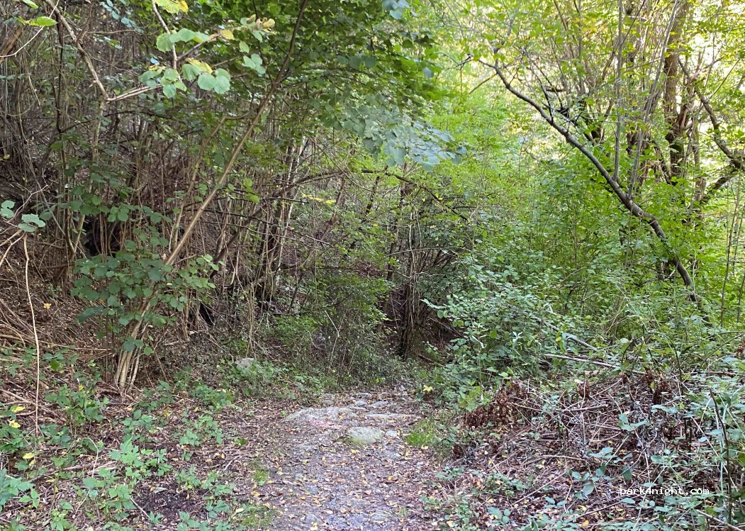 (29024) Ferriere - Strada Provinciale 586R — foto 3