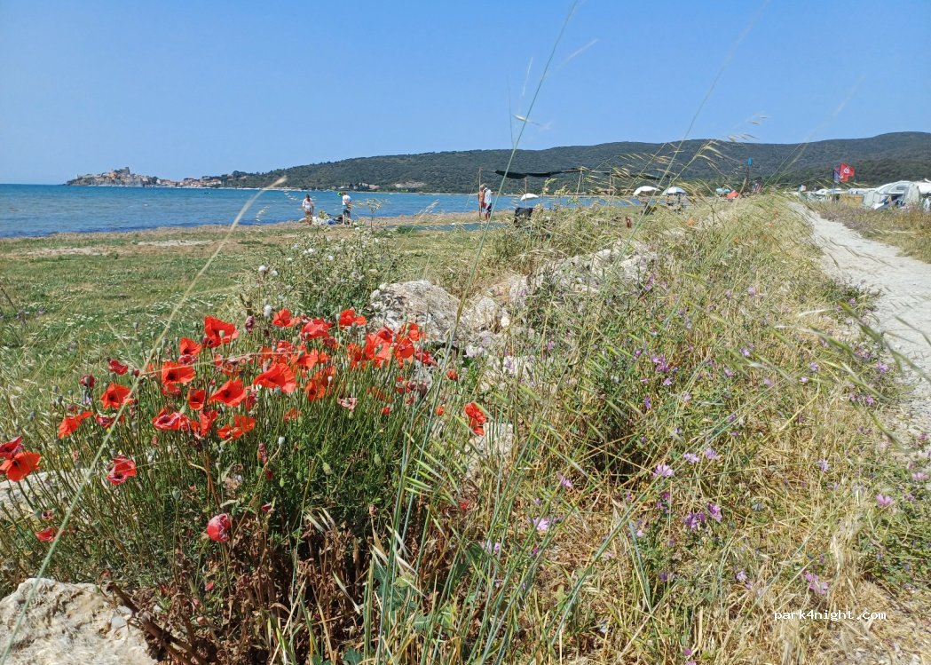 (58015) Orbetello - Strada Provinciale Talamone — foto 4