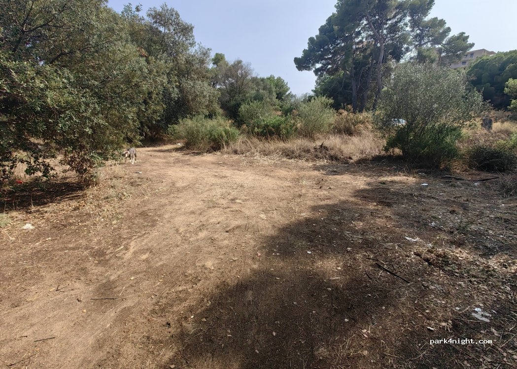 (17220) Sant Feliu de Guíxols - 39 Carrer Berna — foto 3