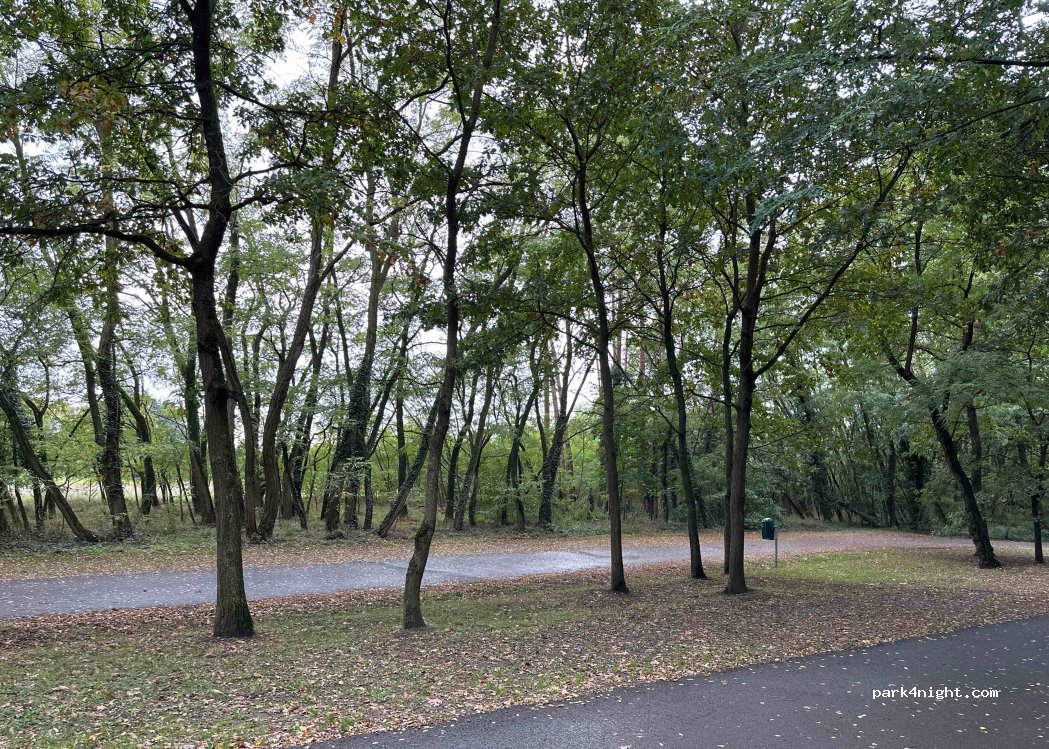 (15537) Grünheide (Mark) - 1 Herzfelder Weg — foto