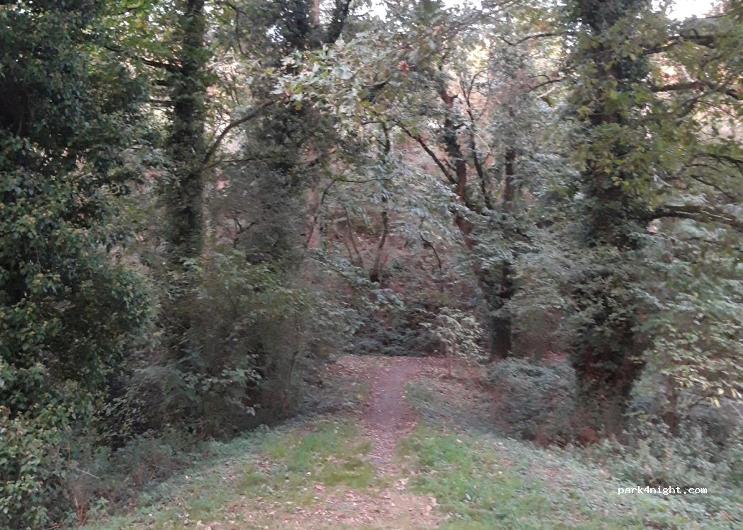 (35470) Pléchâtel - Unnamed Road — foto 3