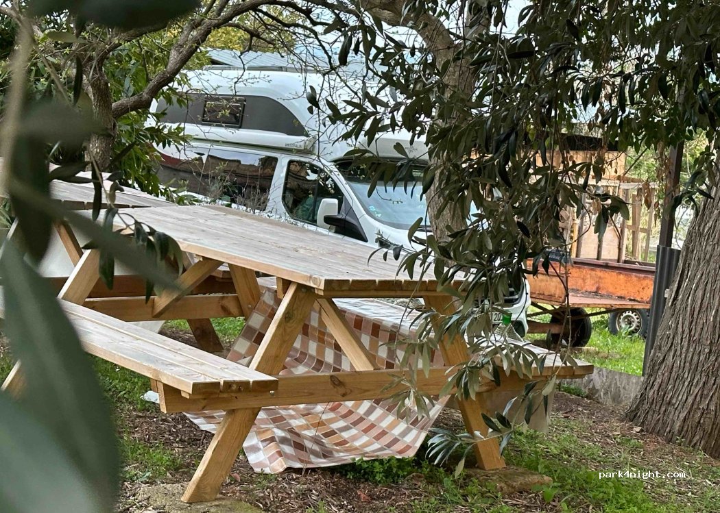Azienda Agricola Colle San Massimo — foto 3
