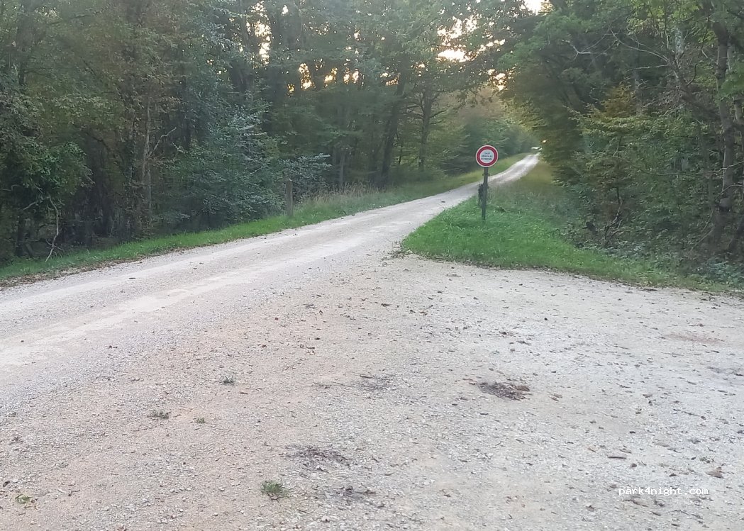 (45450) Ingrannes - Rte Forestière de Nibelle — foto 2