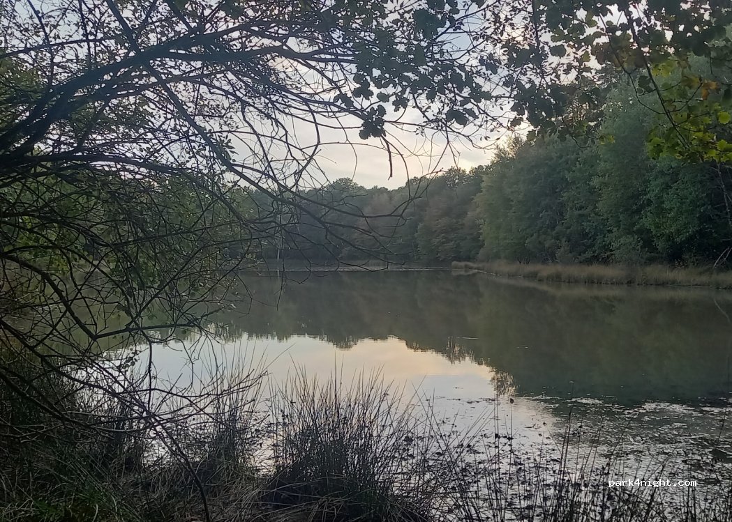 (45450) Ingrannes - Rte Forestière de Nibelle — foto 3