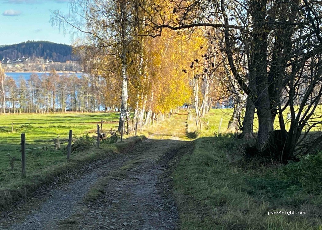 (384 51) Horní Planá - — foto 3