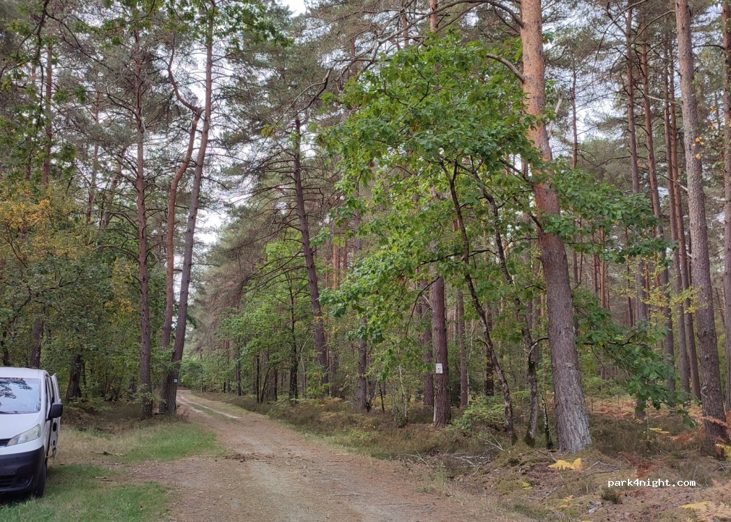 (18500) Allouis - Chemin des Forêtins — foto 2