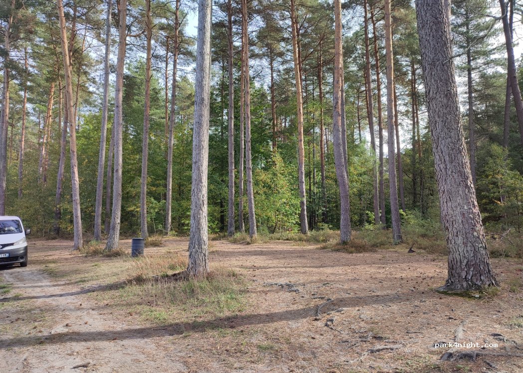(18110) Allogny - Chemin des Forêtins — foto