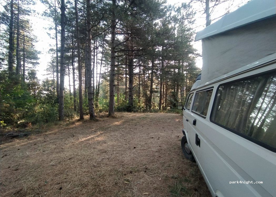 (20219) Vivario - — foto 2