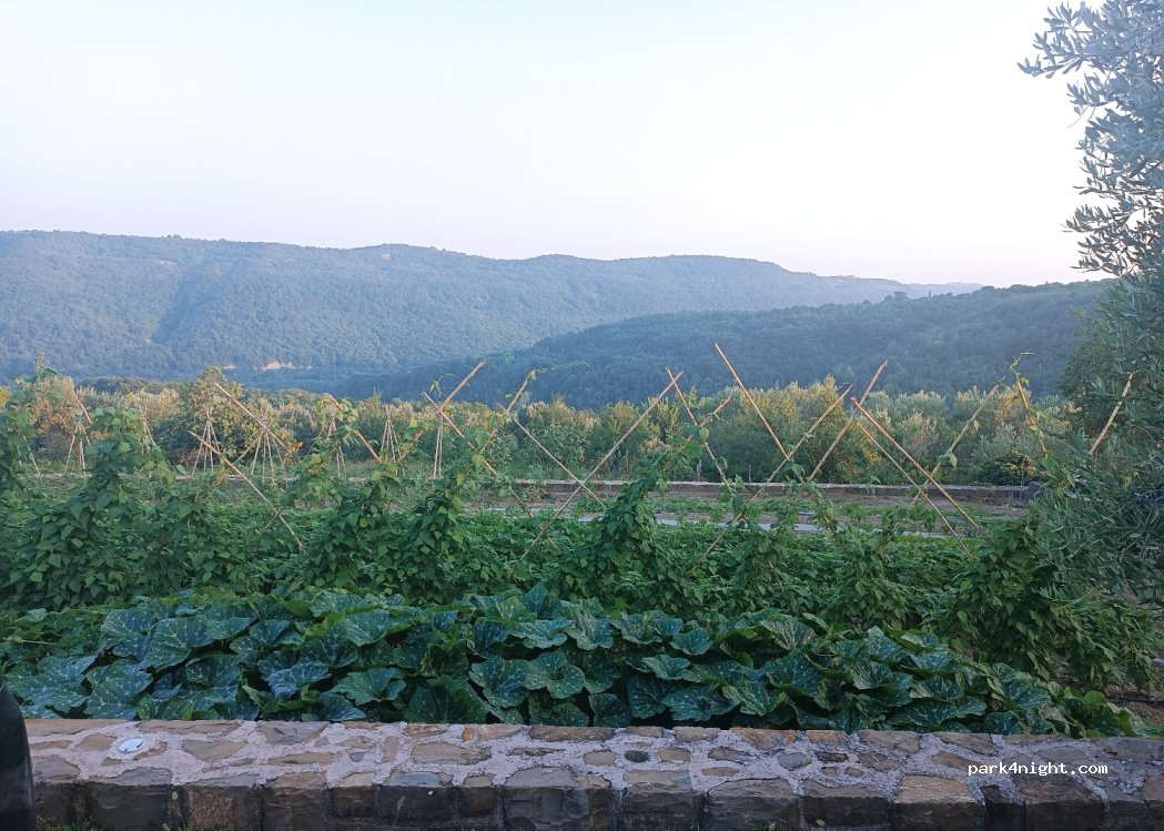 Turistična kmetija TONIN — foto 2
