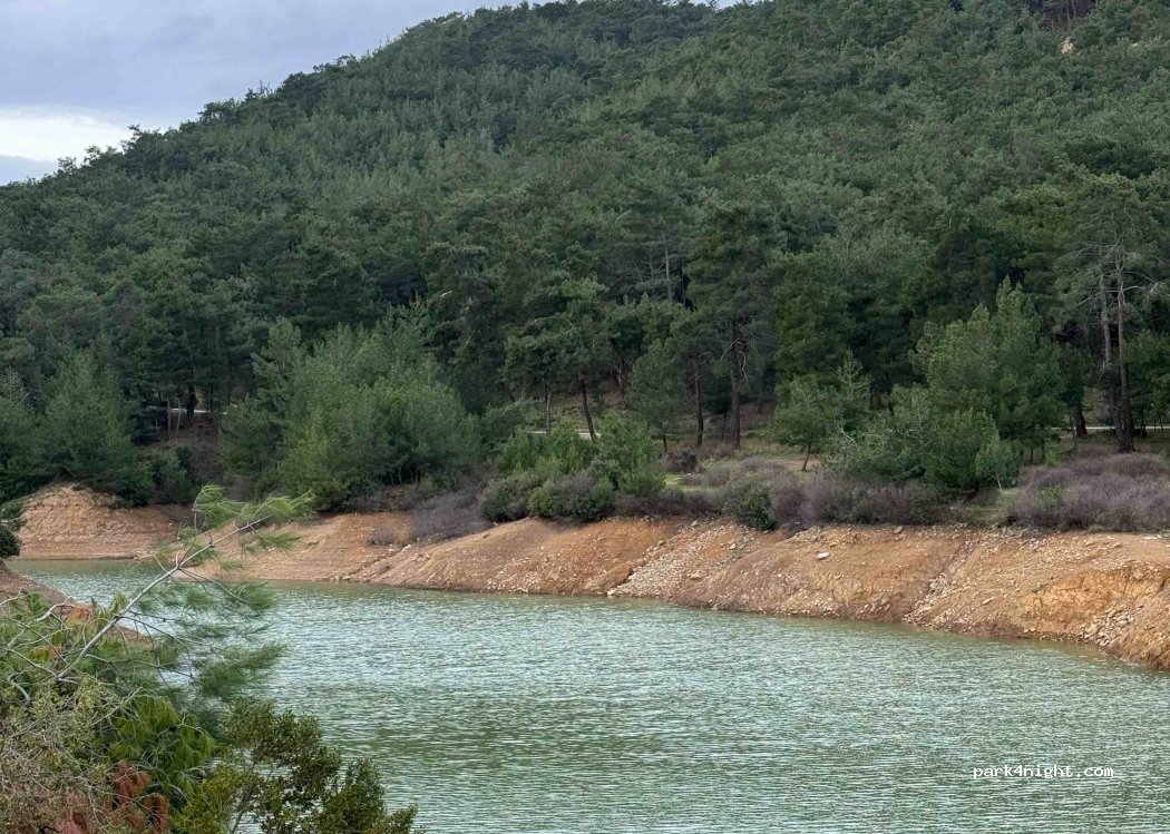 (35479) Menderes - Unnamed Road — foto