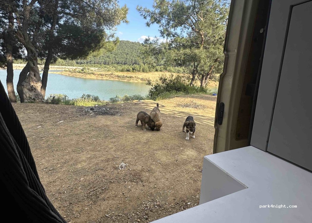 (35479) Menderes - Unnamed Road — foto 3