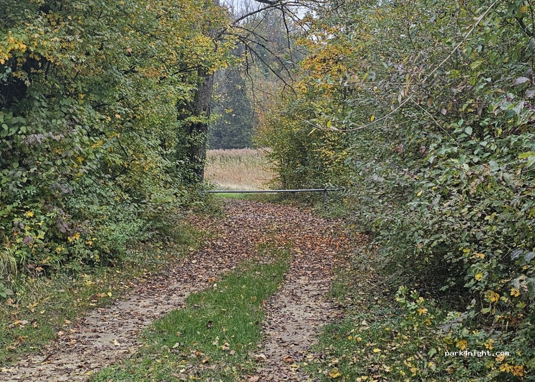 Camping Niederried Grien — foto 2