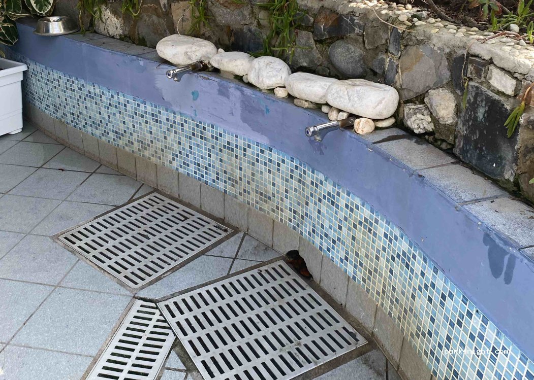 (18010) Santo Stefano al Mare - 9 Piazza Aurelio Saffi — foto 2