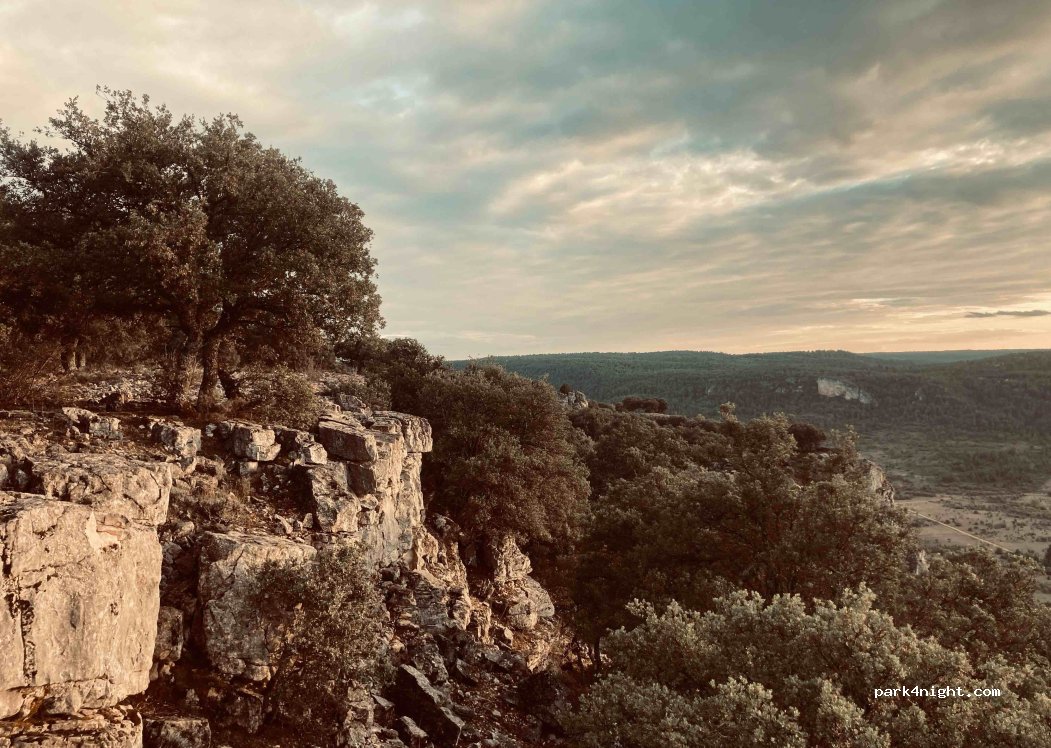 (16878) Masegosa - CM-2201 — foto 2