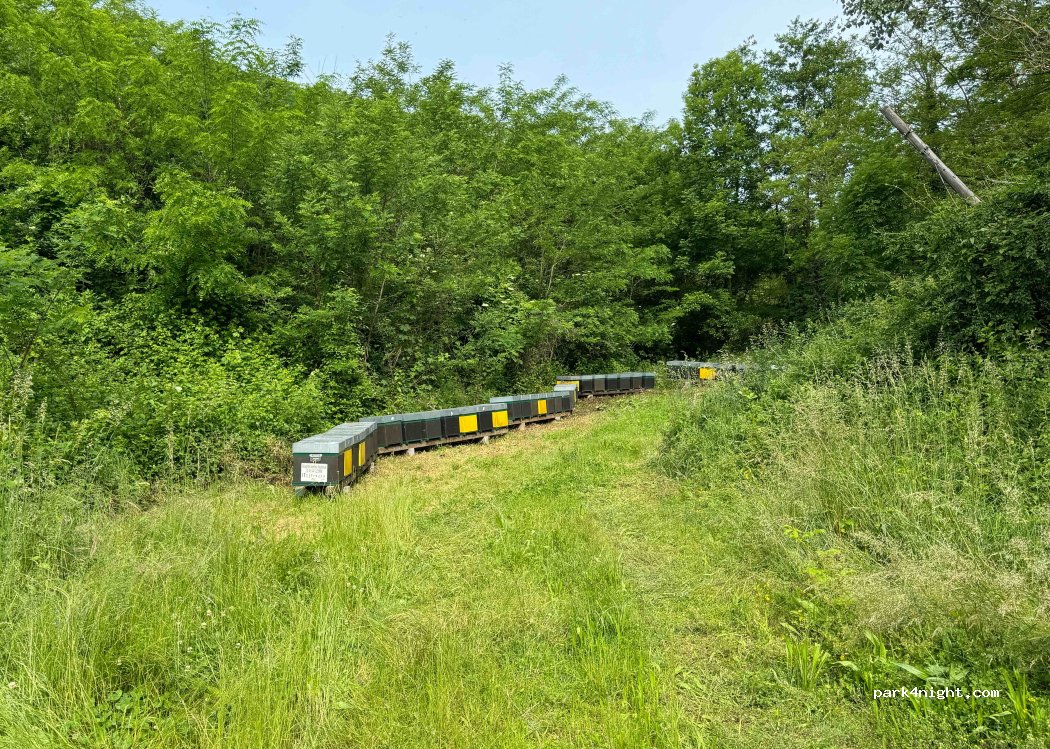 (12070) Nucetto - 15-1 Via delle Strette — foto 3