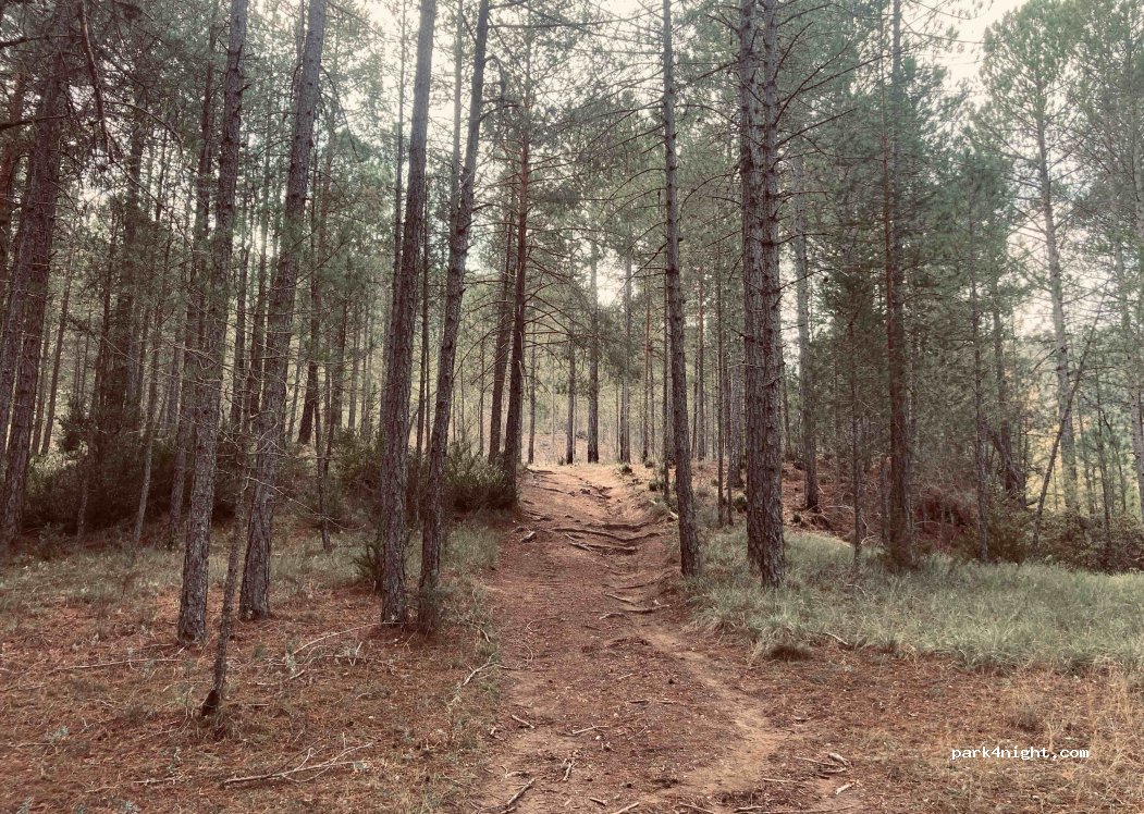 (19463) Poveda de la Sierra - — foto 2