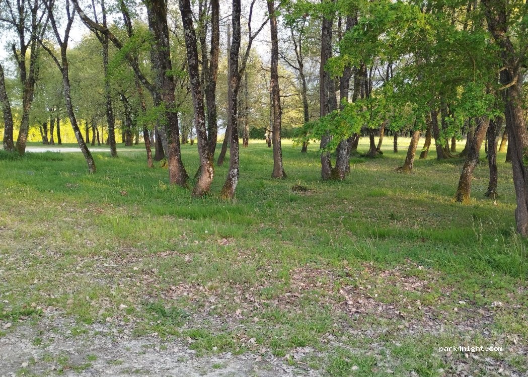 (86310) Saint-Germain - 12 Chemin de la Tuilerie — foto 3