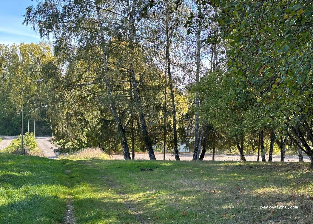 (67360) Wœrth - 29 Route de Lembach — foto 2