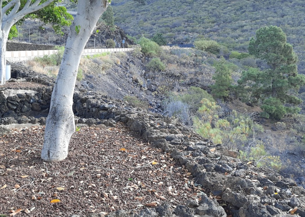 (38684) Santiago del Teide - 35 Carretera Puerto — foto