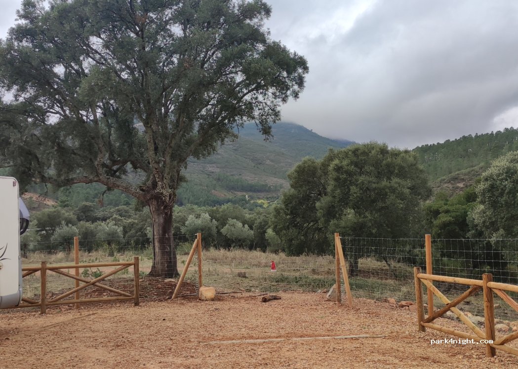 (37617) La Rebollosa - — foto 3