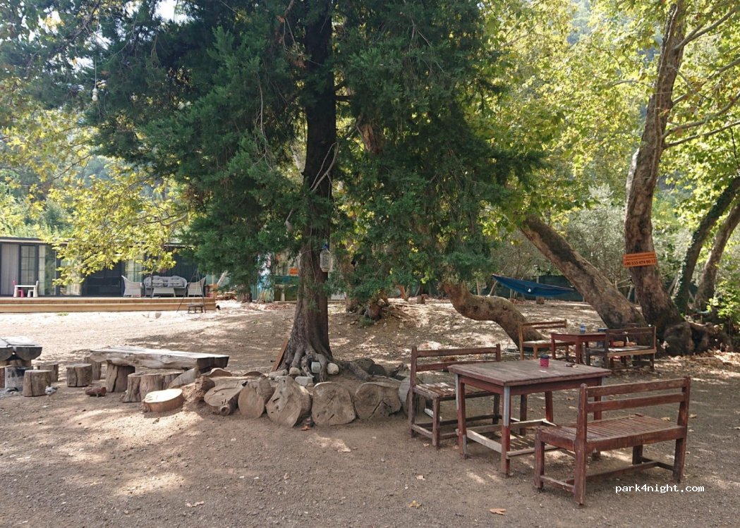 Tavuskuşu Camping & Karavan — foto 2