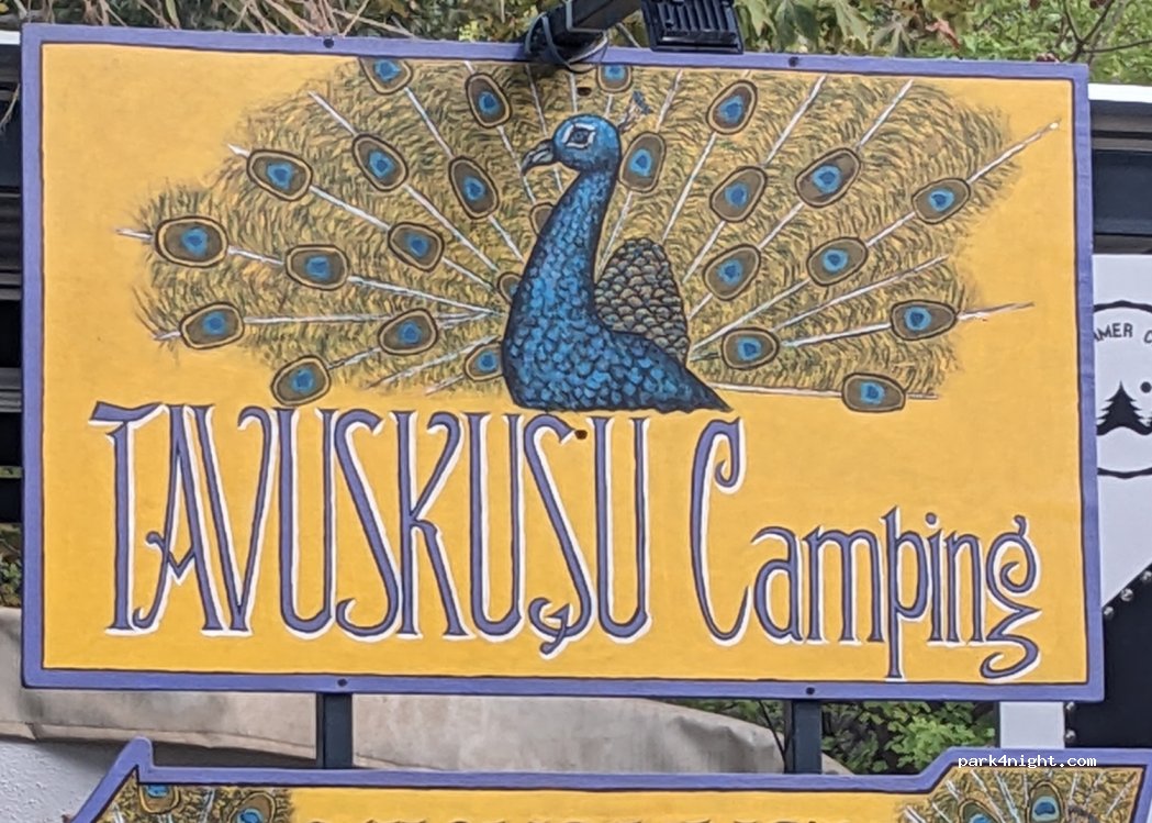 Tavuskuşu Camping & Karavan — foto 4