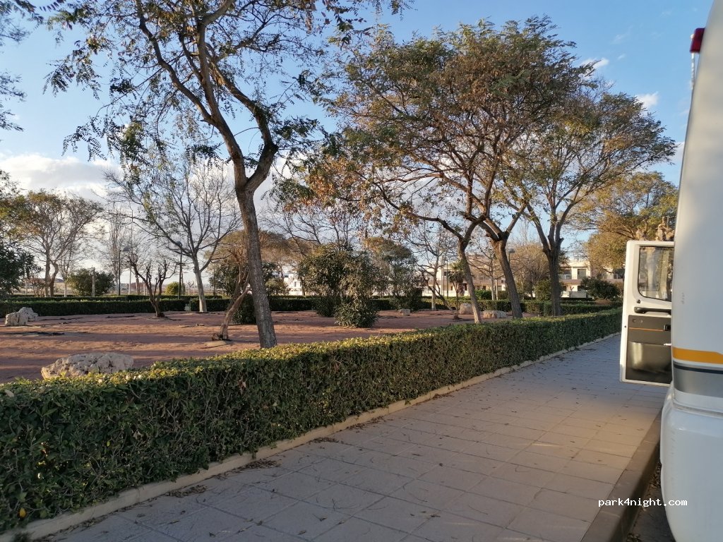 (03191) Pilar de la Horadada - Calle Flor de Pascua — foto 3