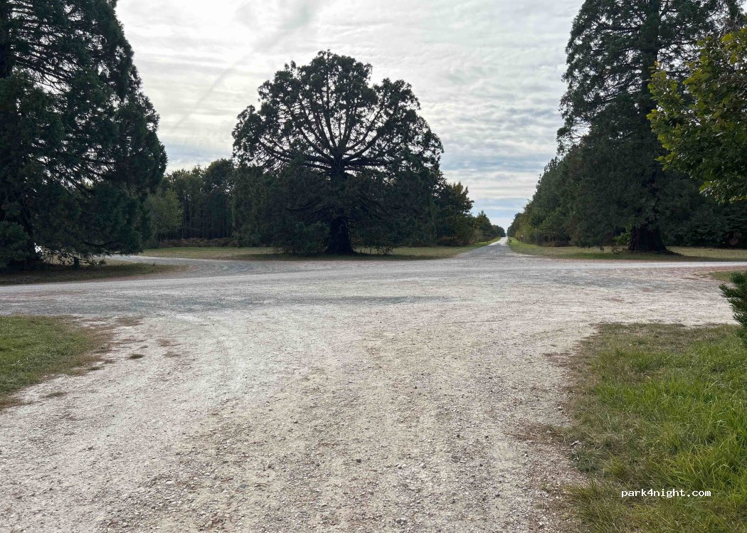 (45460) Châtenoy - Route Forestière de Vitry-aux-Loges à Vieilles-Maisons — foto