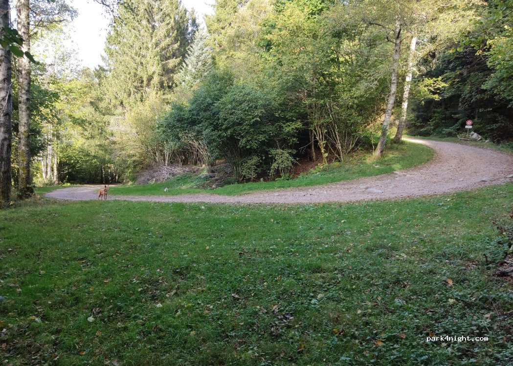(88120) Rochesson - 28 Chemin des Ponts — foto 2