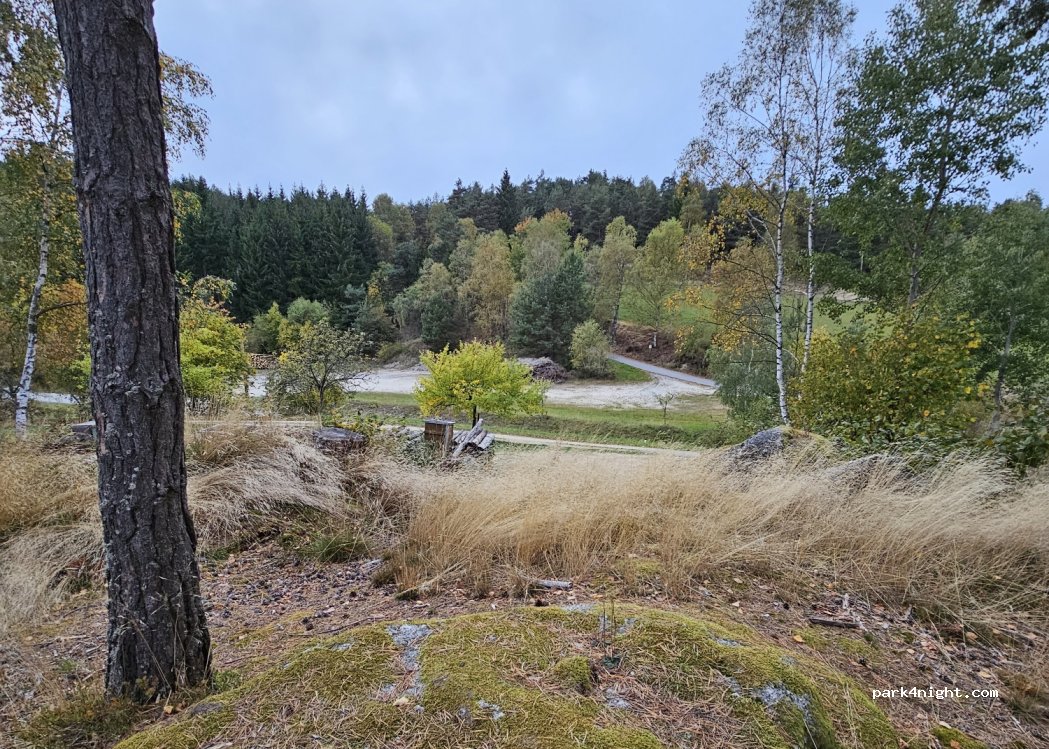 (3972) Scheiben - 40 Scheiben — foto