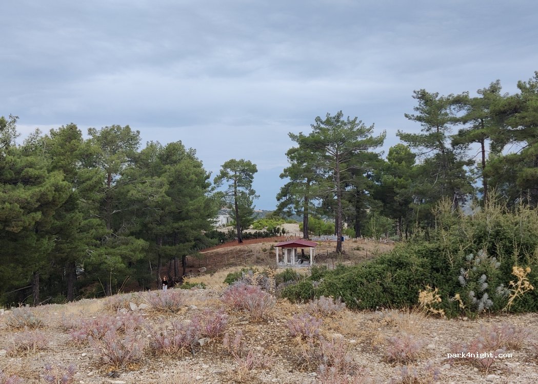 (07582) ardıçlıburun - — foto 2
