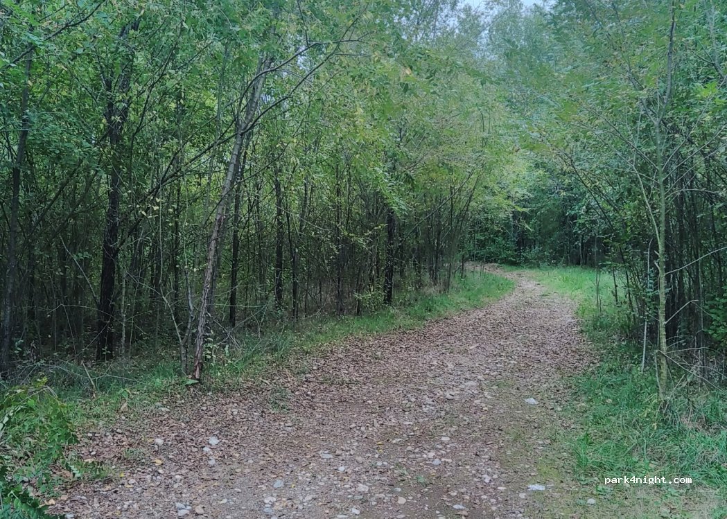 (34170) Gorizia - 22 Via Giuseppe Antonio Cordon — foto