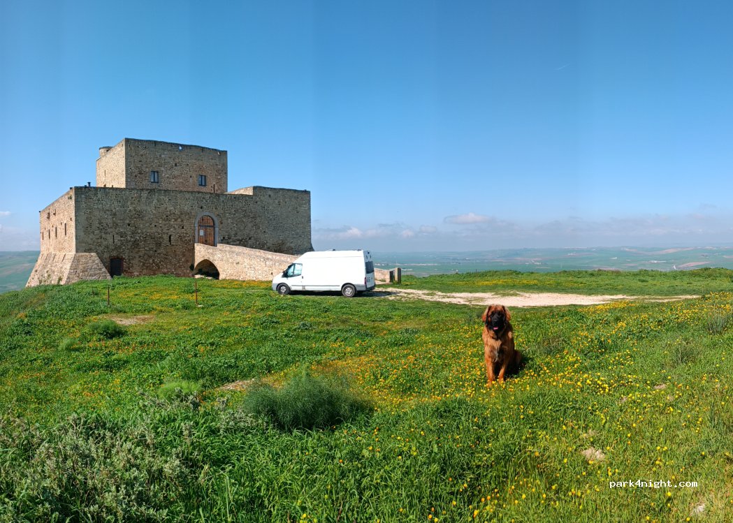 (85013) Genzano di Lucania - — foto 5