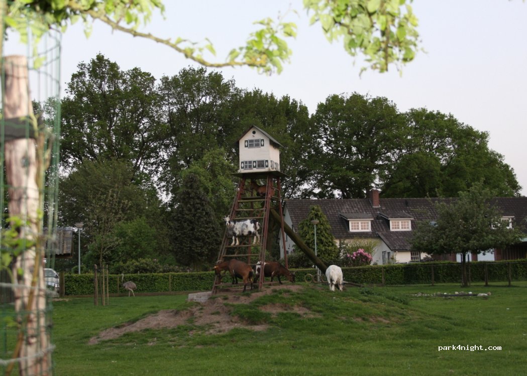 Camping De Eendenkooi — foto 2