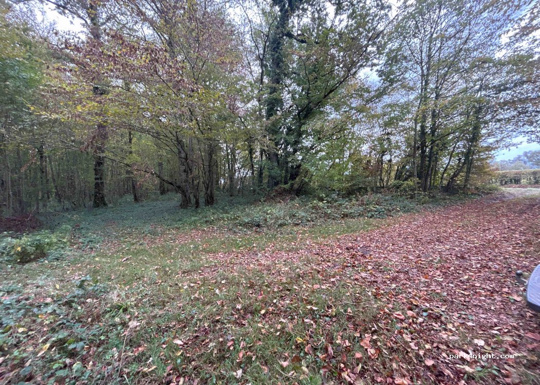 (51290) Arrigny - — foto