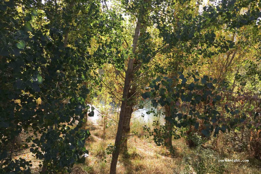 (16140) Villalba de la Sierra - 1 Carretera Cuenca Tragacete — foto 2