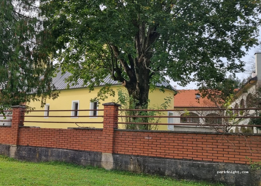 (51327) Musulini - — foto 3