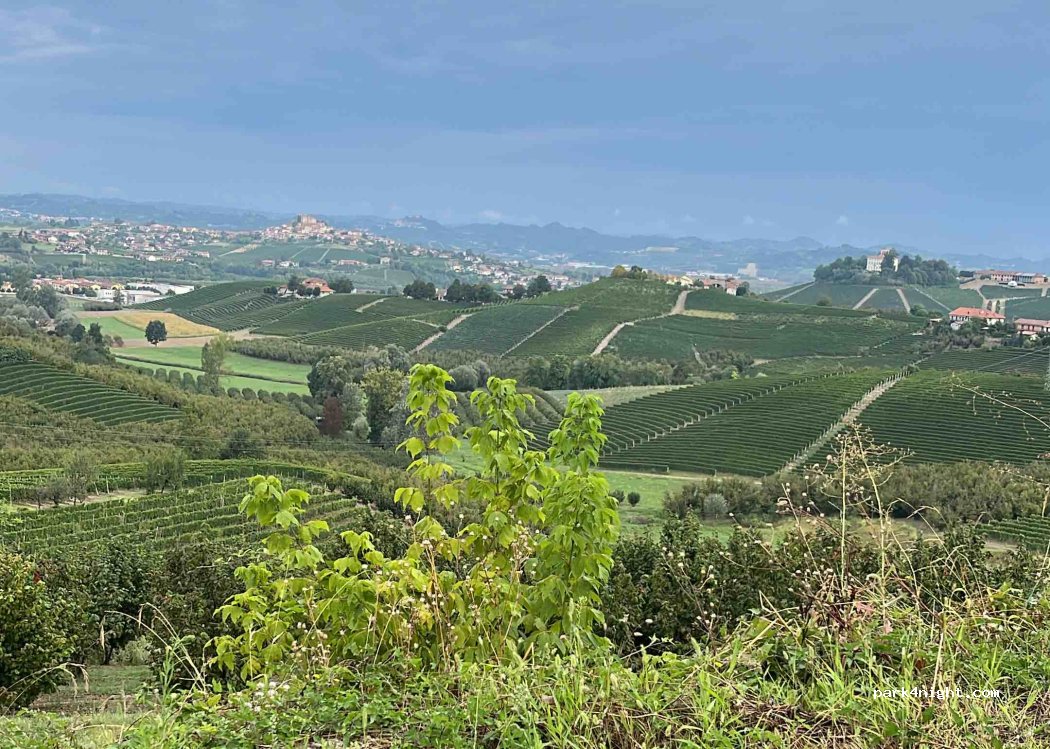 (12060) Grinzane Cavour - 110 Via IV Novembre — foto 2