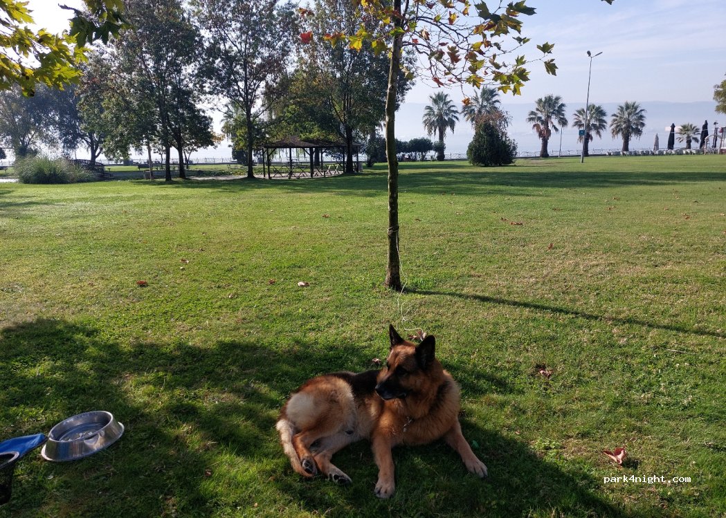 (41100) İzmit - 14 Sahil Sokak — foto 3