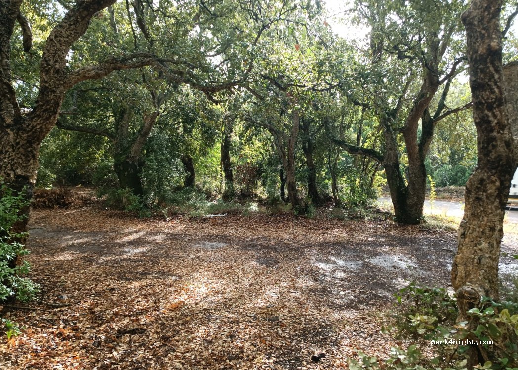 (20228) Luri - 671 Strada Di a Giurdana — foto