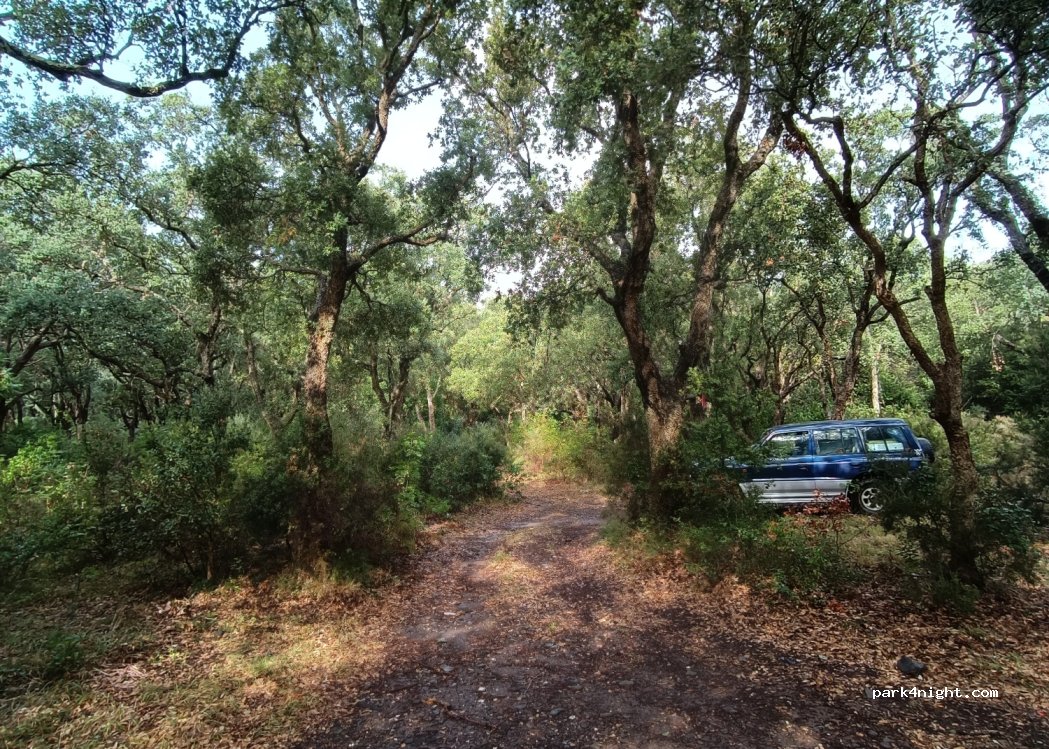 (20228) Luri - 671 Strada Di a Giurdana — foto 2
