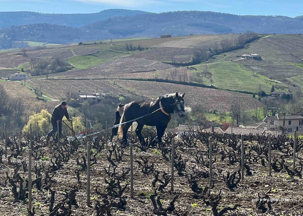 Domaine de la Laveuse — foto