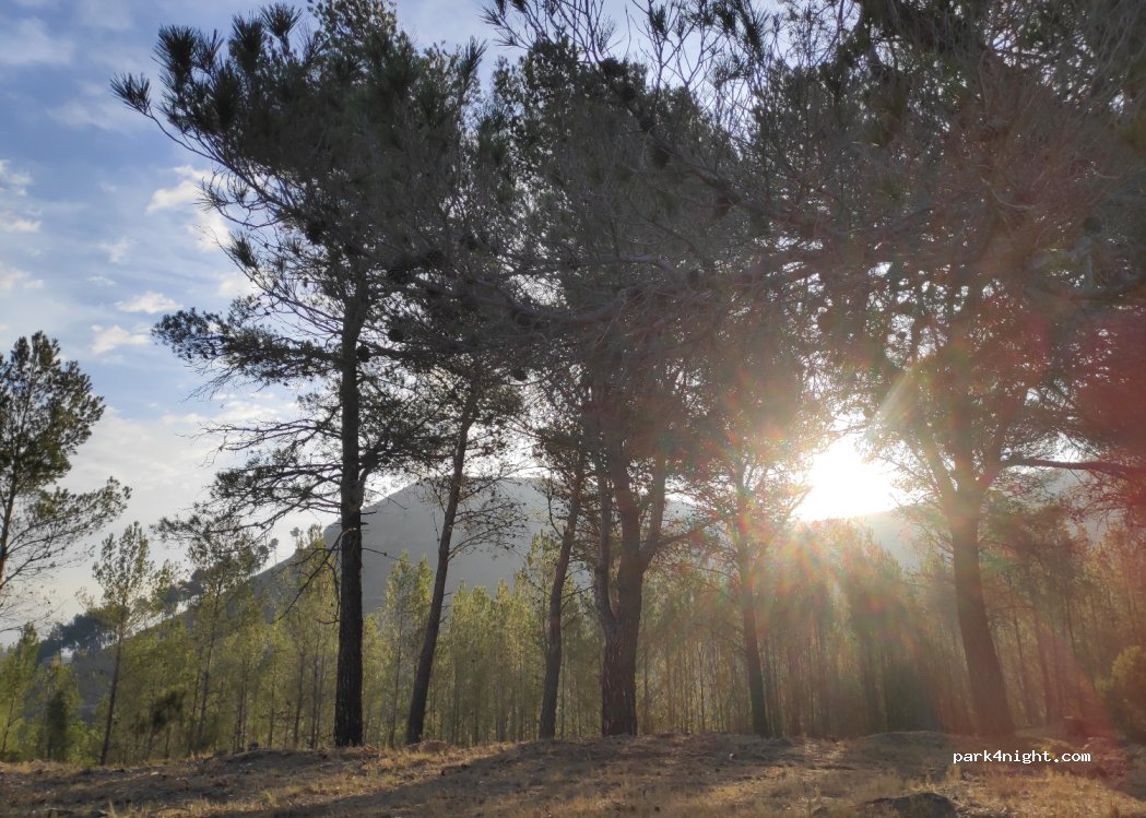 (12410) Altura - 27 Carretera Gátova - Altura — foto 4