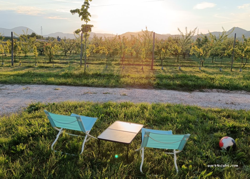 Dofinè Azienda agricola — foto 4