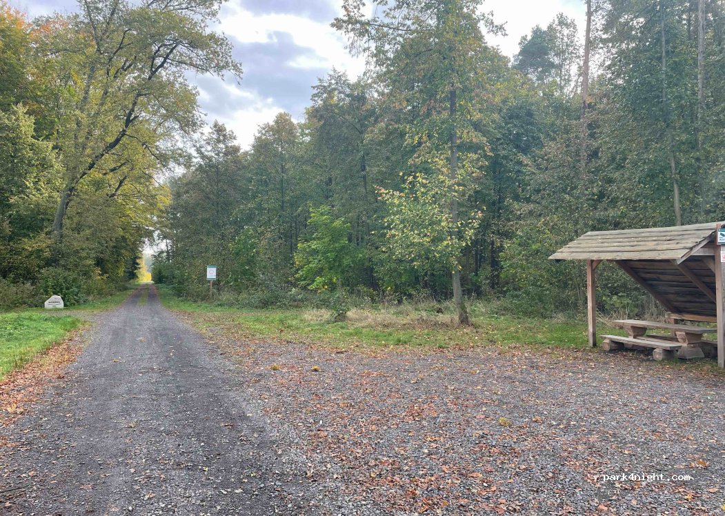 (67) Dzikowice - Unnamed Road — foto