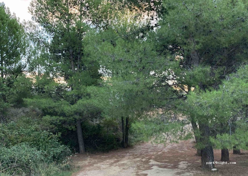(44562) Santolea - — foto 2