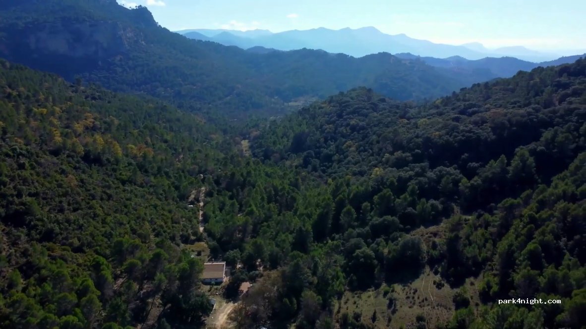 Palomera — foto